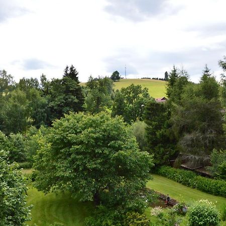 Horsky Apartman Pod Zelenou Strechou Bartosovice v Orlickych Horach Exterior foto