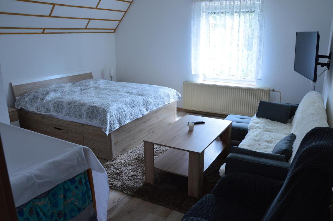 Horsky Apartman Pod Zelenou Strechou Bartosovice v Orlickych Horach Exterior foto