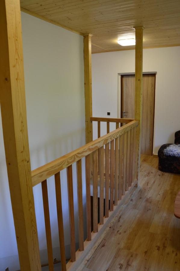 Horsky Apartman Pod Zelenou Strechou Bartosovice v Orlickych Horach Exterior foto