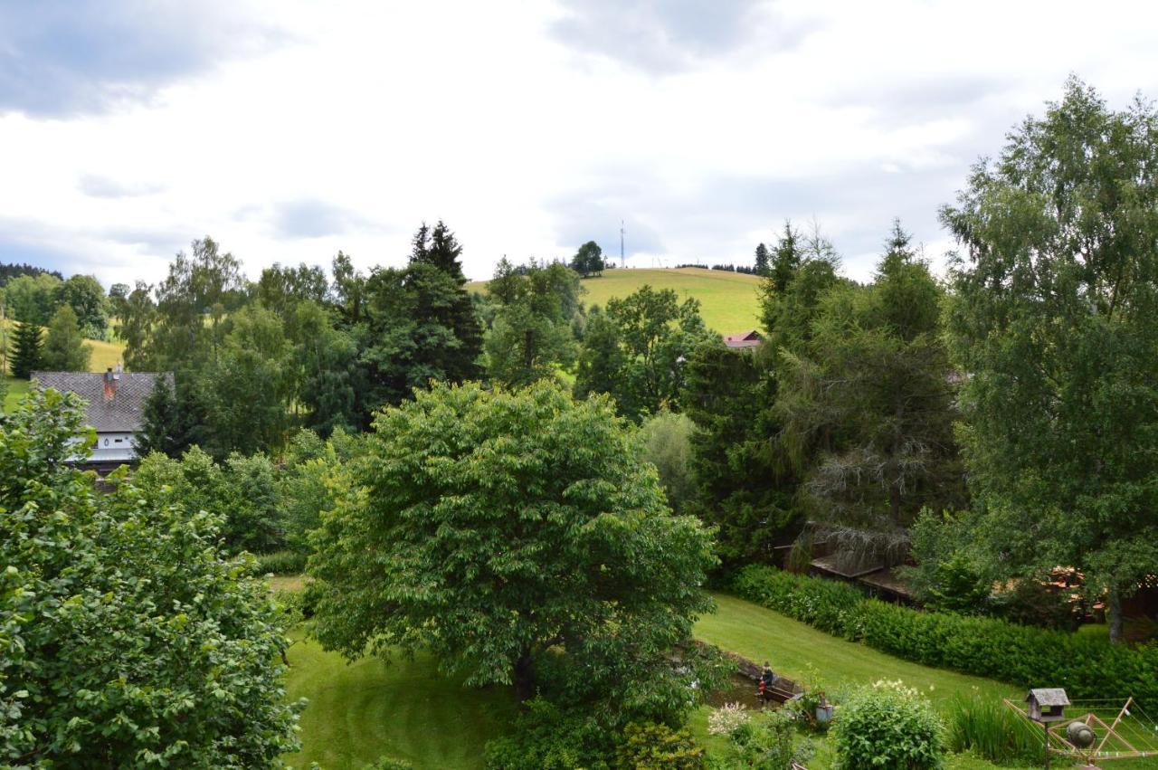 Horsky Apartman Pod Zelenou Strechou Bartosovice v Orlickych Horach Exterior foto