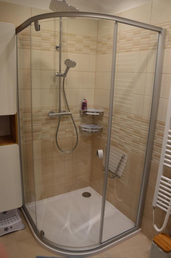 Horsky Apartman Pod Zelenou Strechou Bartosovice v Orlickych Horach Exterior foto