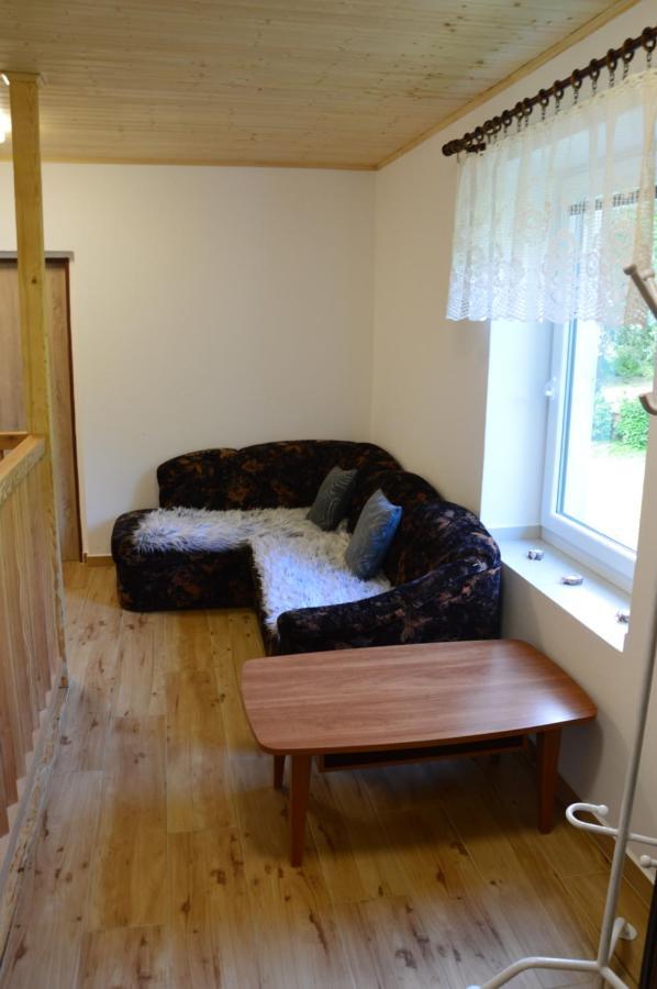Horsky Apartman Pod Zelenou Strechou Bartosovice v Orlickych Horach Exterior foto